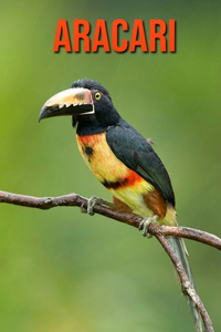 Aracari