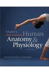 Mader's Understanding Human Anatomy & Physiology