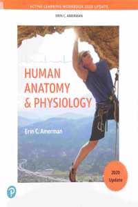 Active-Learning Workbook for Human Anatomy & Physiology, Updated Edition