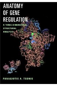 Anatomy of Gene Regulation