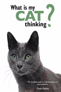 What is My Cat Thinking?
