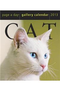 Cat Gallery 2013