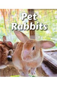 Pet Rabbits