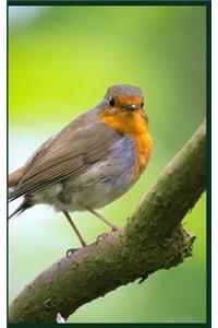 Bird Watching Journal