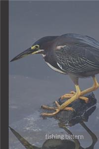 fishing bittern