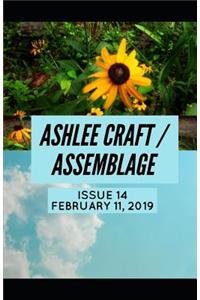 Issue 14 (Ashlee Craft / Assemblage)