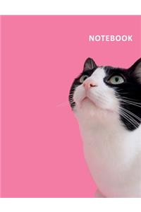 College Ruled Notebook