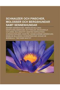 Schnauzer Och Pinscher, Molosser Och Bergshundar Samt Sennenhundar: Berner Sennenhund, American Bulldog, Newfoundlandshund, Rottweiler