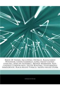 Articles on Birds of Sudan, Including: Ostrich, Black-Eared Wheatear, Lesser Flamingo, Long-Tailed Glossy-Starling, African Silverbill, Bronze Manniki