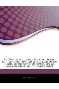 Articles on Pet Turtles, Including