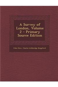 A Survey of London, Volume 2 - Primary Source Edition