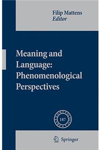 Meaning and Language: Phenomenological Perspectives