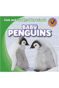 Baby Penguins