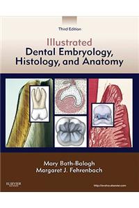 Illustrated Dental Embryology, Histology, and Anatomy