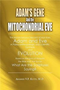 Adam's Gene and the Mitochondrial Eve