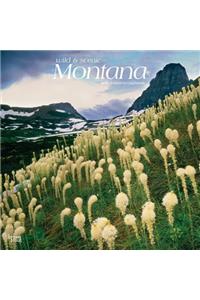 Montana Wild & Scenic 2019 Square