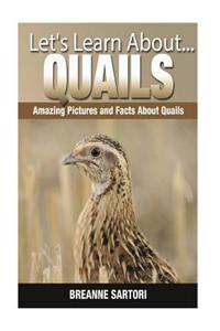 Quails: Amazing Pictures and Facts about Quails