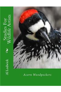 Acorn Woodpeckers