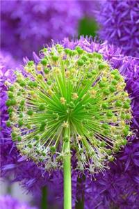 Mind Blowing Strange Flower Journal