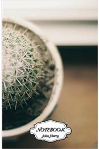 Notebook Journal Dot-grid, Graph, Lined, Blank No Lined - Cactus: Small Pocket Notebook Journal Diary