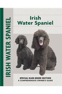 Irish Water Spaniel