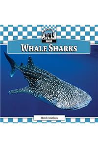 Whale Sharks