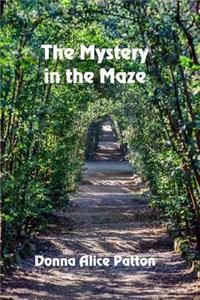 The Mystery in the Maze