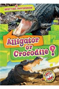 Alligator or Crocodile?