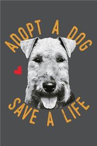 Adopt A Dog Save A Life
