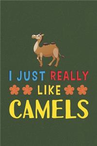 I Just Really Like Camels