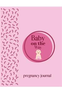 Baby on the way pregnancy journal