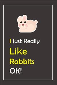 I Just Really Like Rabbits, OK !