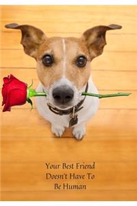 Your Best Friend Doesn't Have to be Human