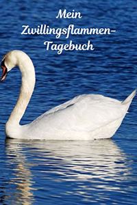 Mein Zwillingsflammen-Tagebuch