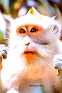 Monkey Notebook
