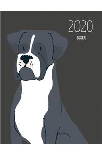 2020 Boxer