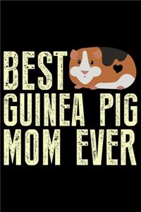 Best Guinea Pig Mom Ever