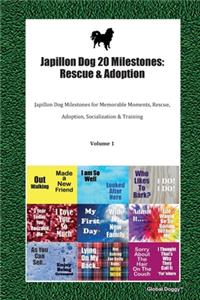 Japillon Dog 20 Milestones