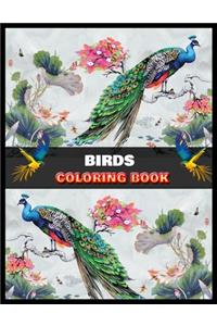 Birds Coloring Book