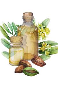 Jojoba Notes