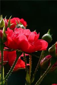 Red Roses Notebook