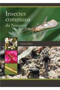 Insectes Communs Du Nunavut