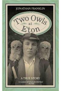 Two Owls at Eton - A True Story