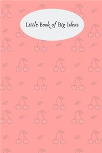 Little Book of Big Ideas