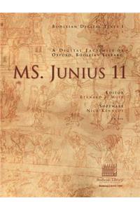 Ms. Junius 11