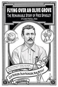 Flying Over an Olive Grove