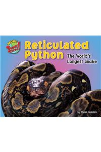 Reticulated Python