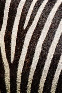 Black and White Zebra Stripes Journal