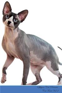 Sphynx Cat Presents