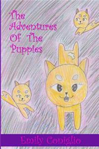 The Adventures of Puppies